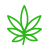 Med cannabis